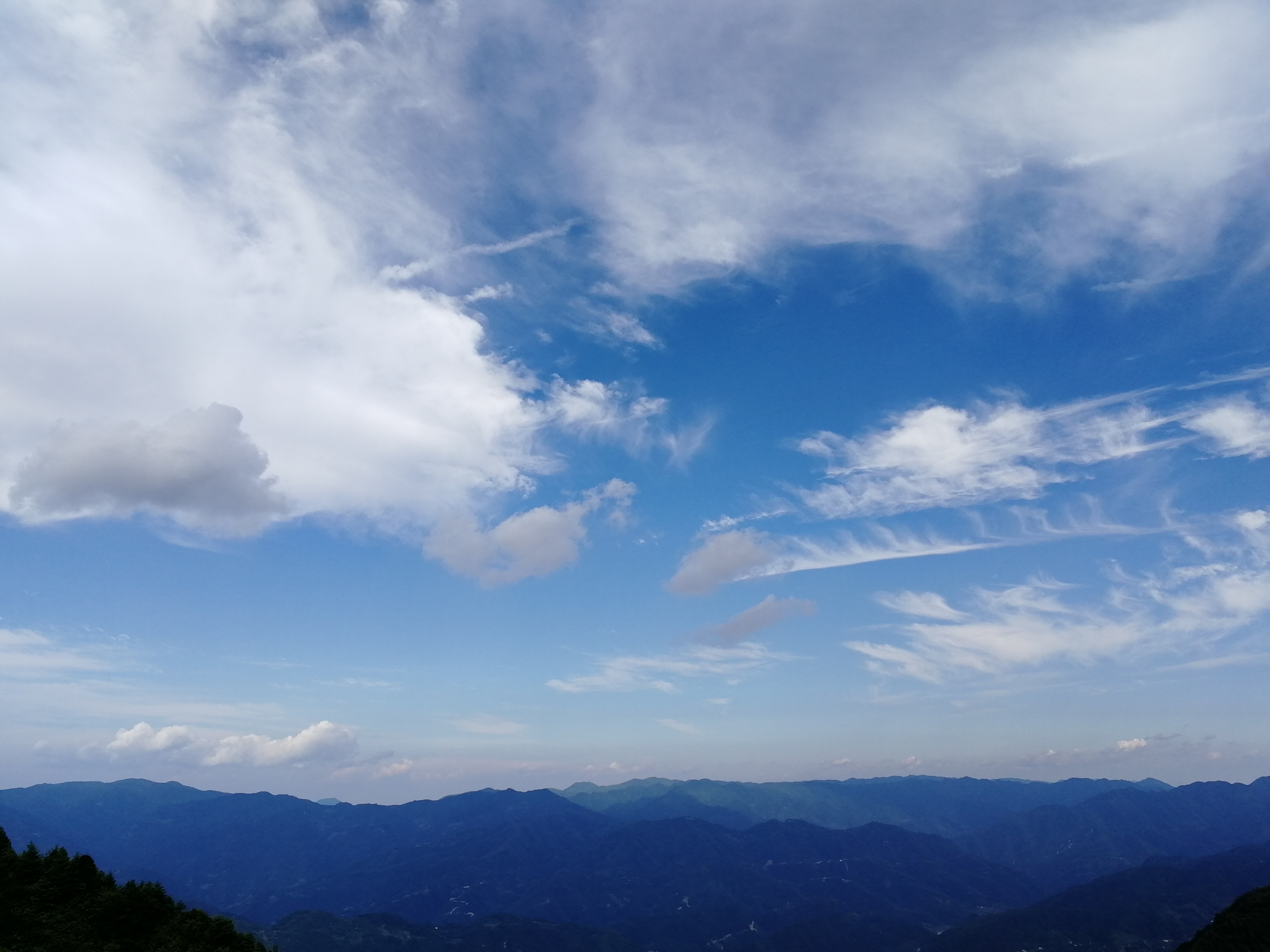 IMG_20180818_163516.jpg