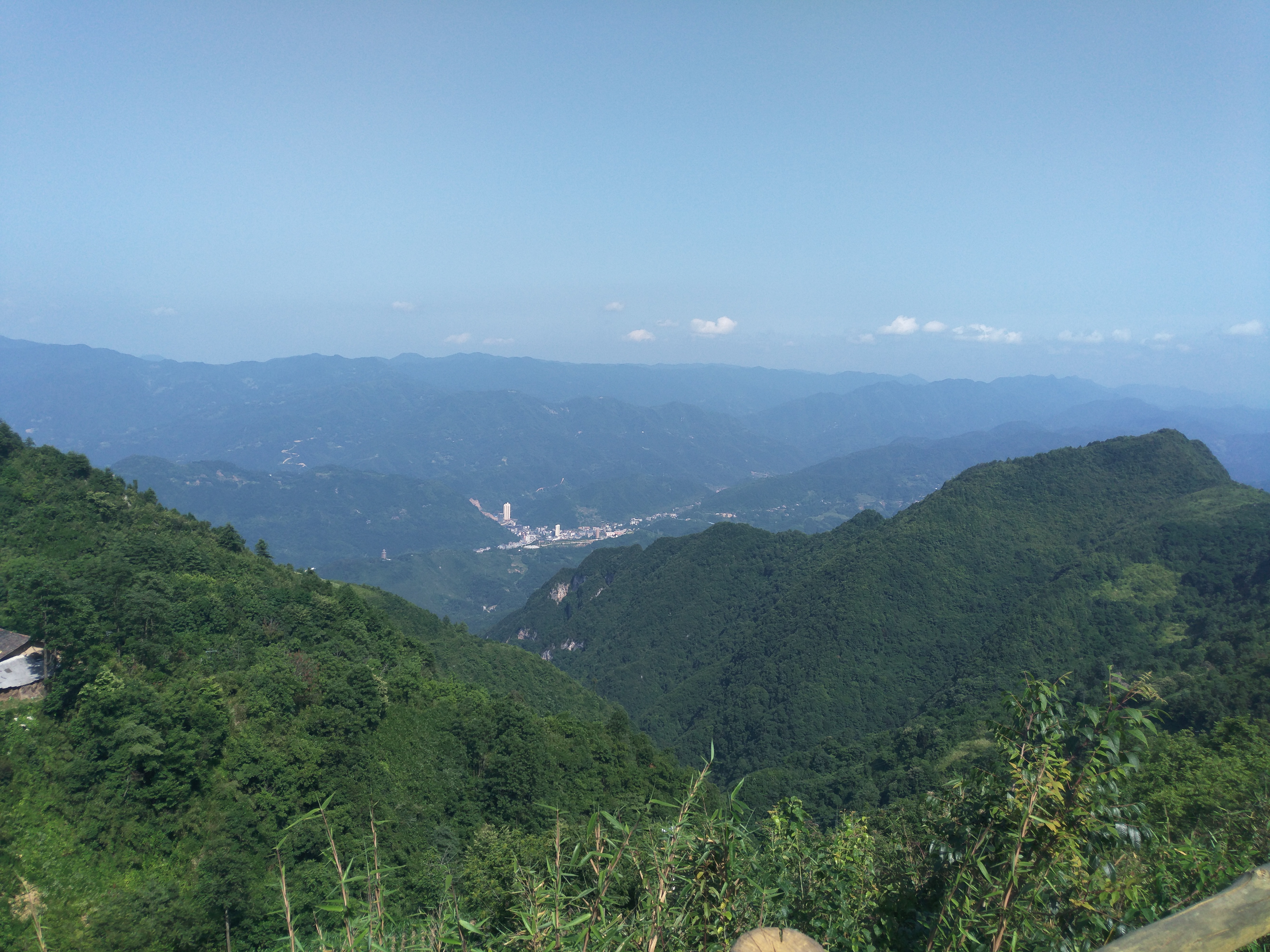 IMG_20170709_155631.jpg