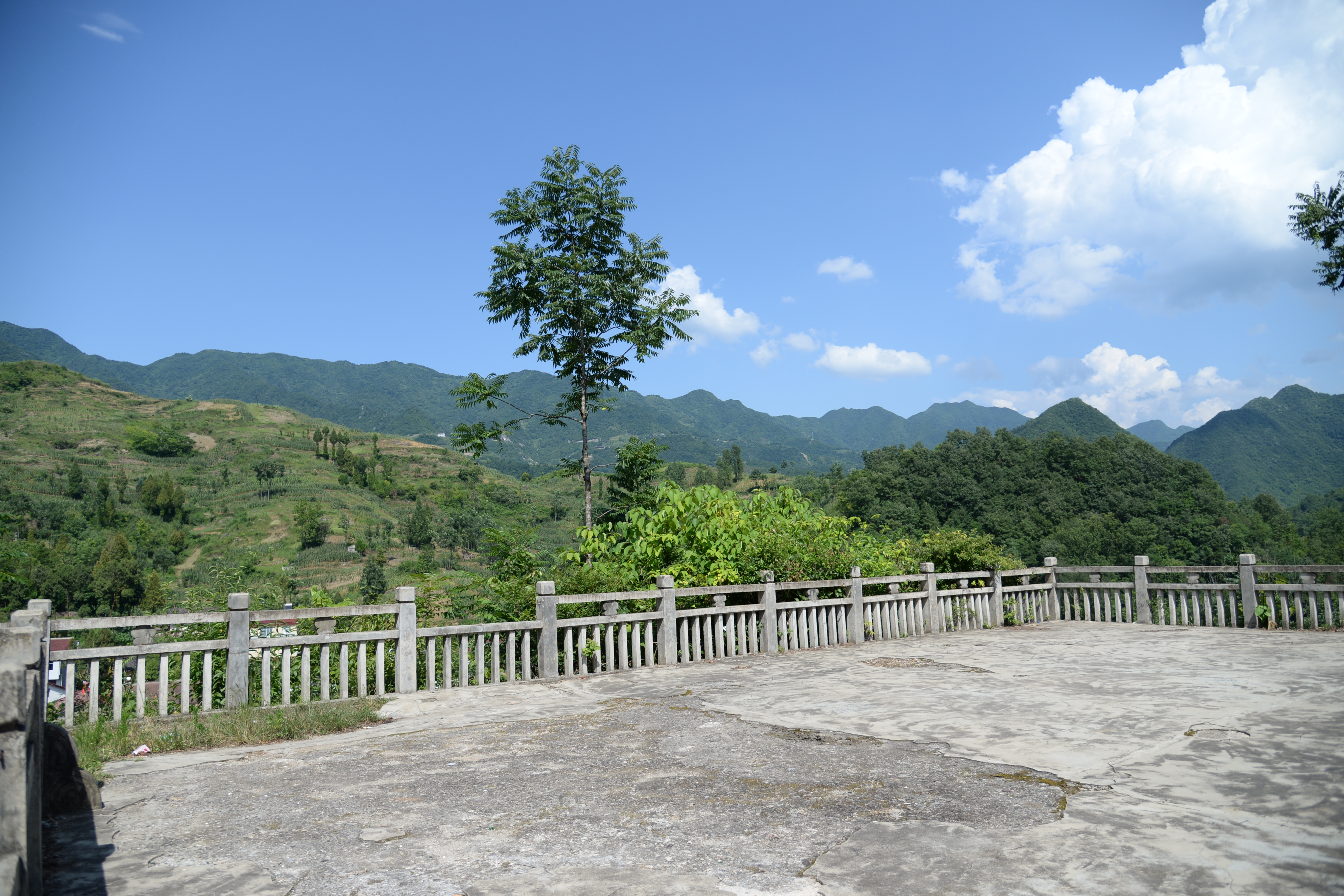 DSC_1816.JPG