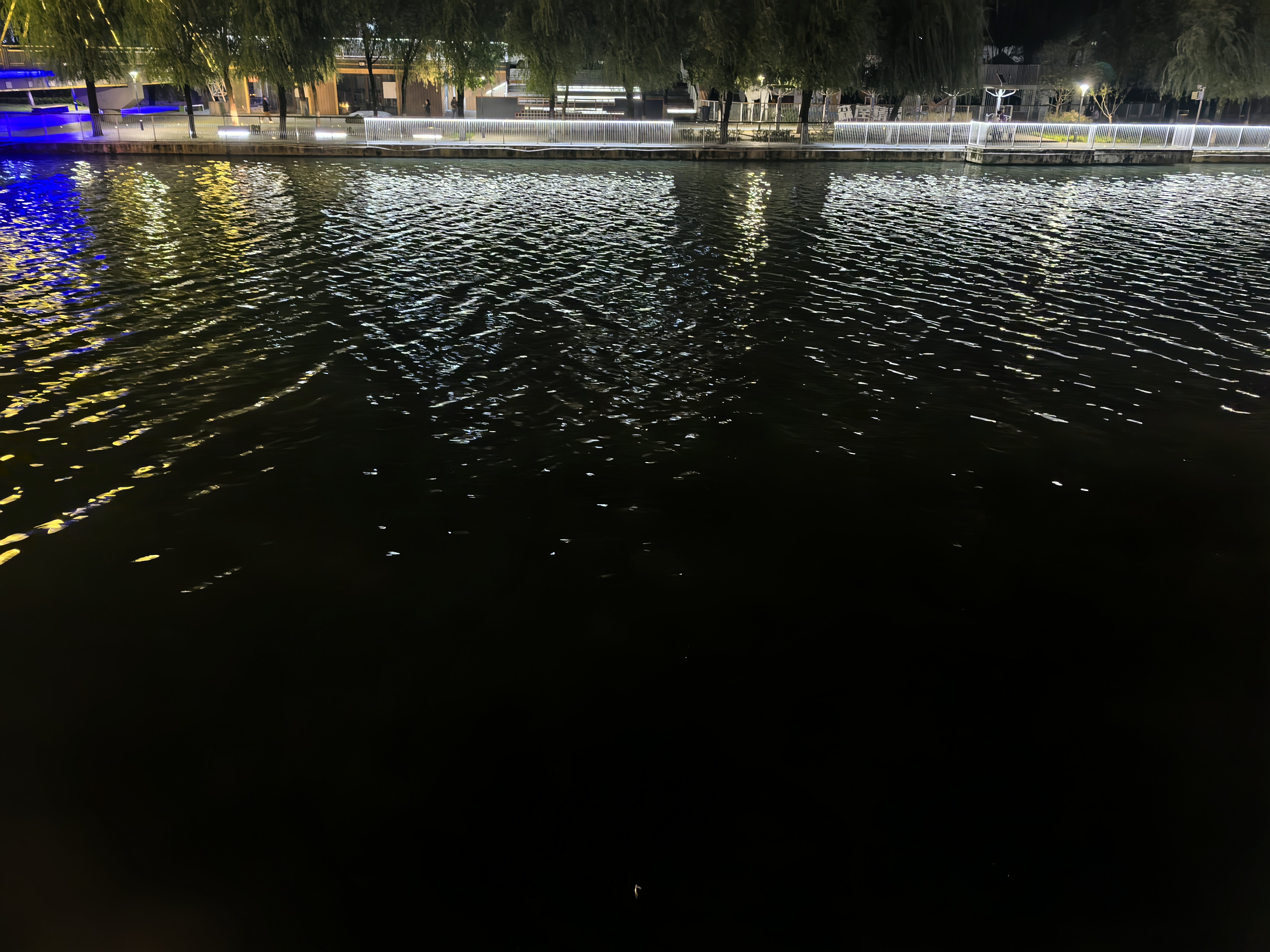 IMG_20251021_192708.jpg